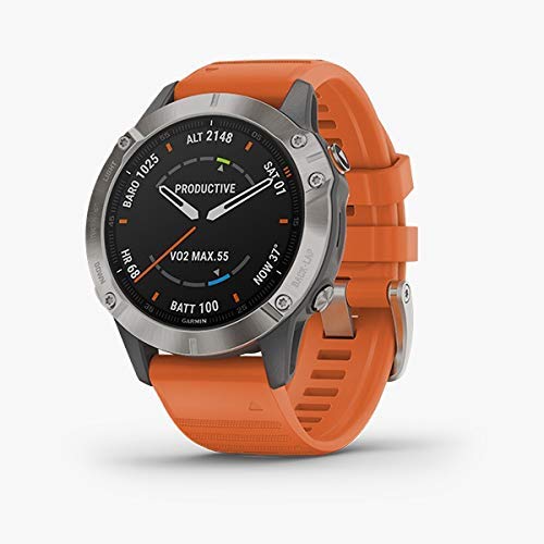 GARMIN Fenix 6